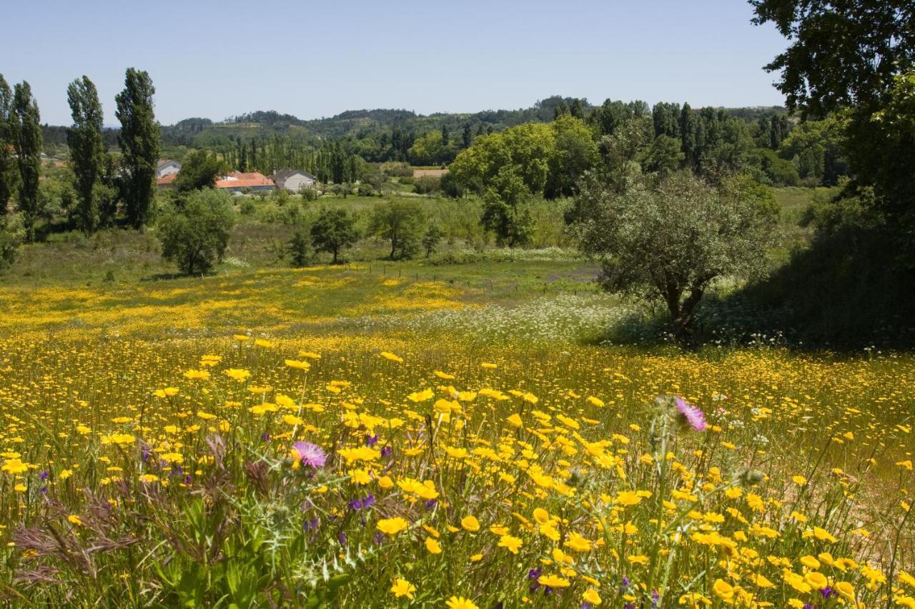 Villa Quinta da Alcaidaria Mor Ourém Esterno foto