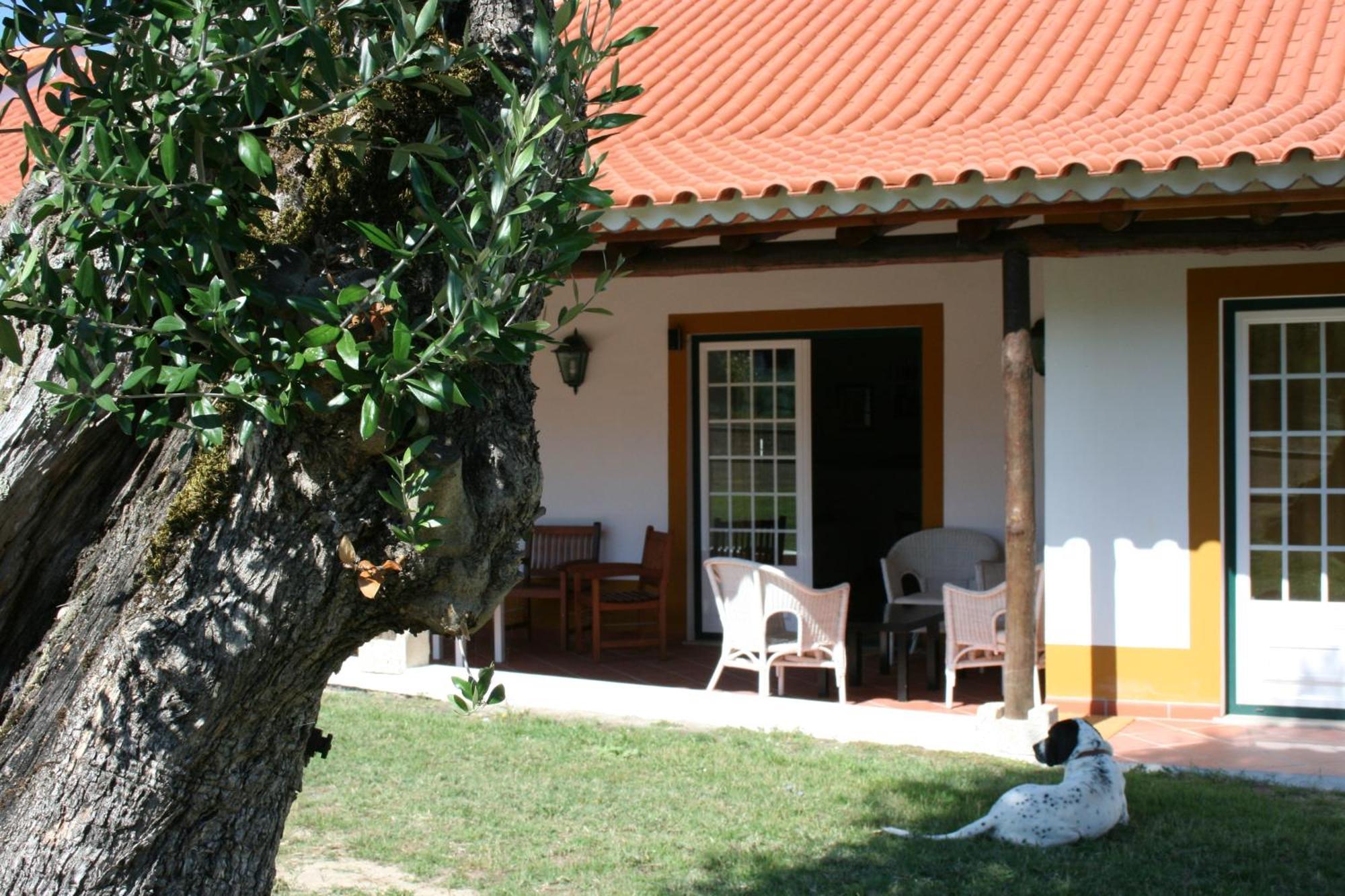 Villa Quinta da Alcaidaria Mor Ourém Esterno foto